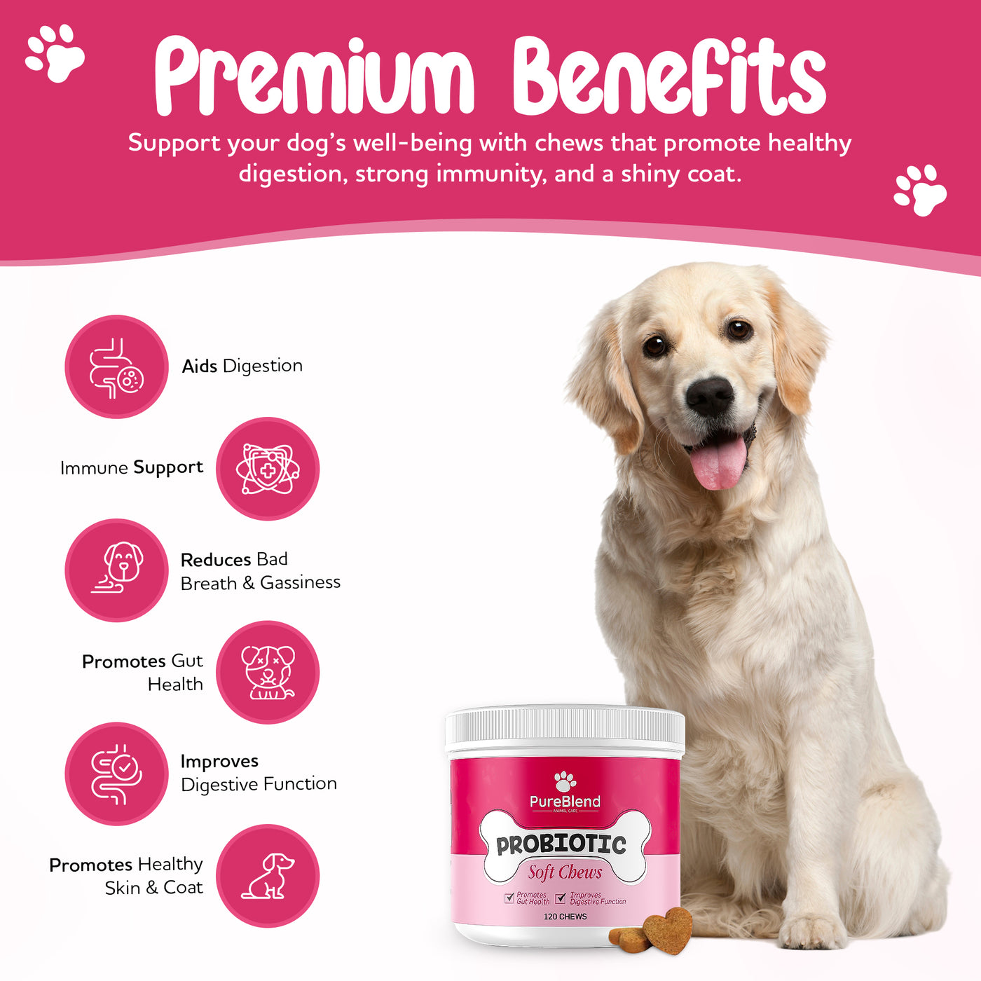 Probiotic Chews for Dogs