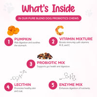 Probiotic Chews for Dogs