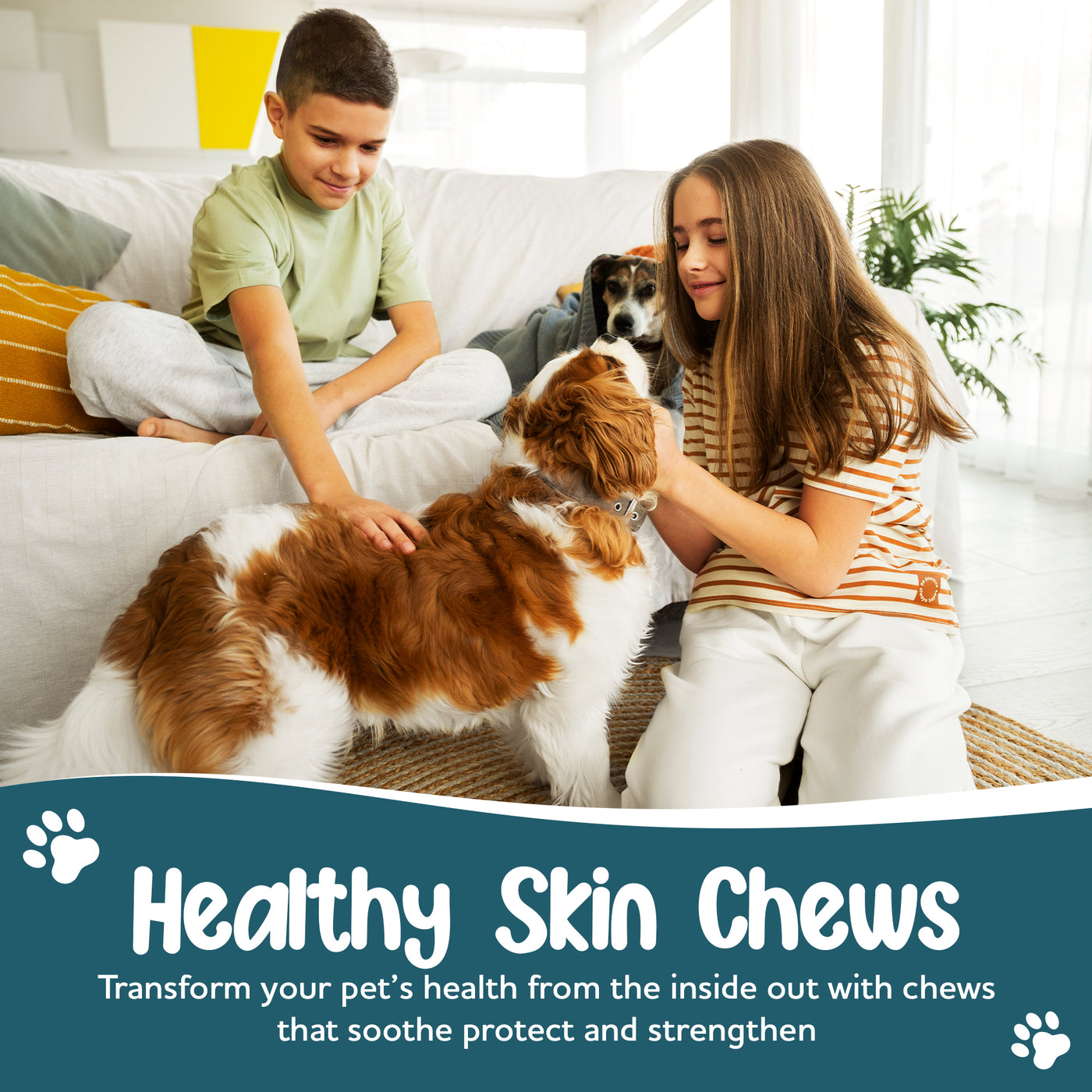 Anti-Itch & Immunity Dog Treats