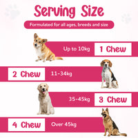 Probiotic Chews for Dogs