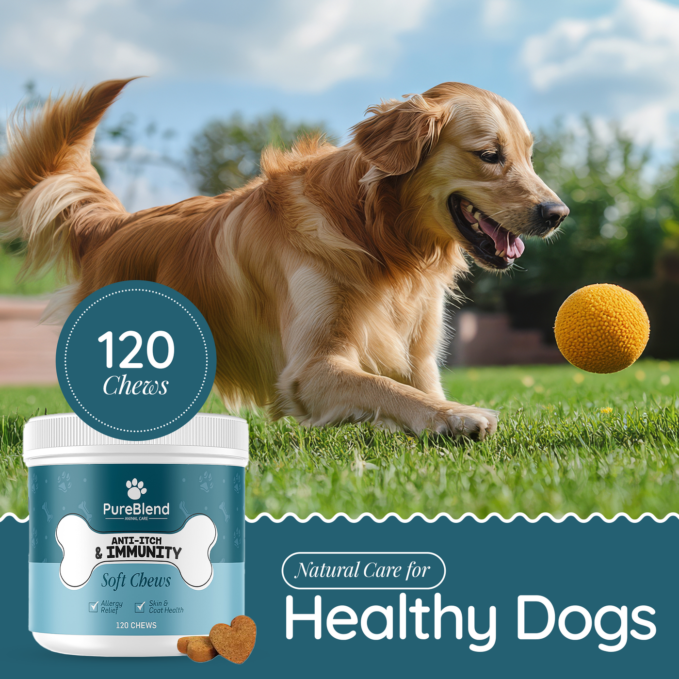 PureBlend Anti-Itch & Immunity Chews for Dogs