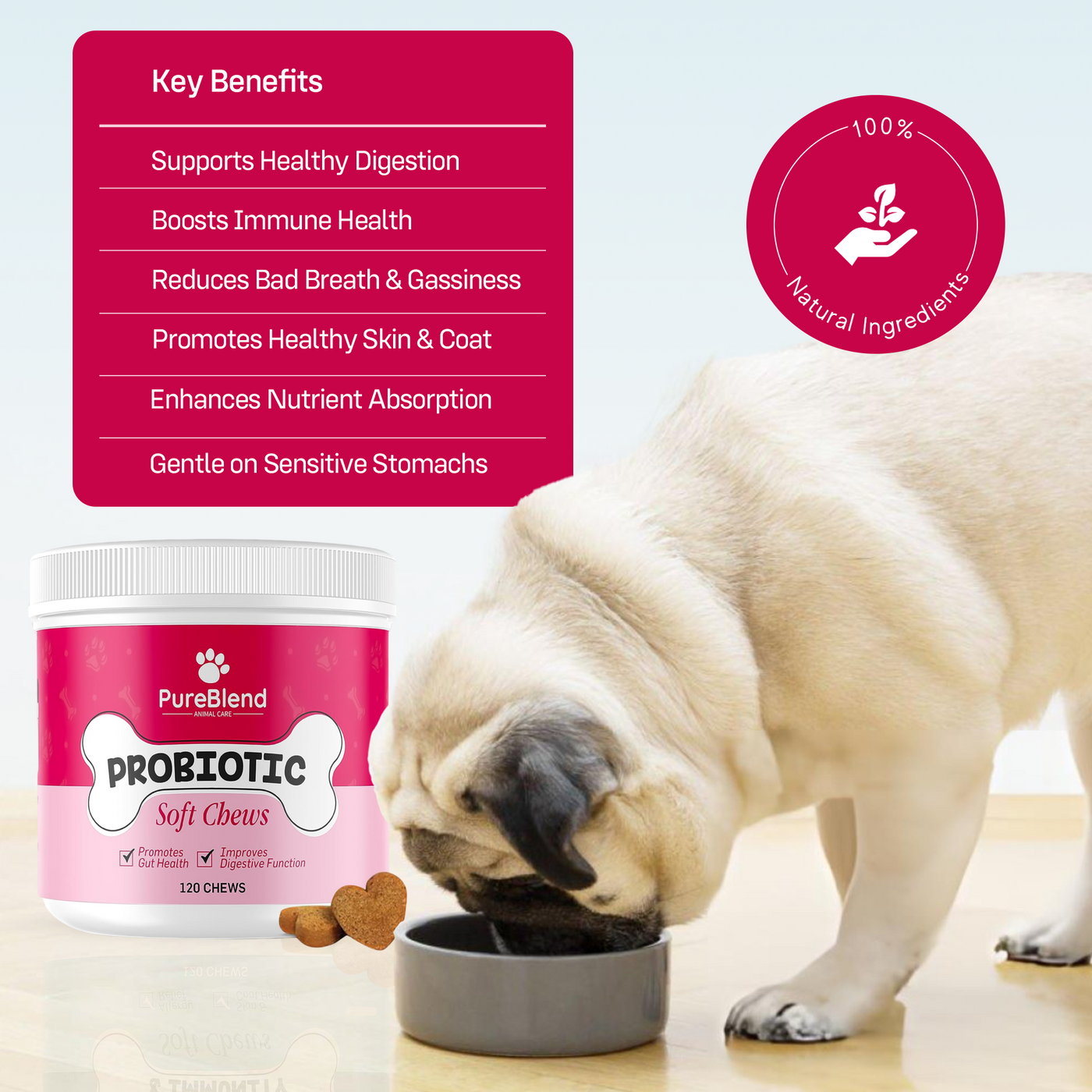 PureBlend Probiotic Chews for Dogs